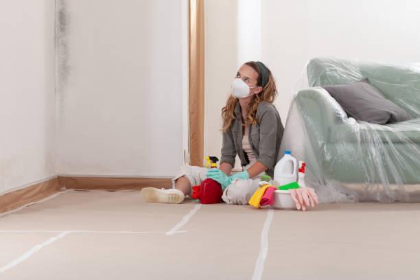 Reliable Mold Cleanup contractor in Garfield, TX by Cheap Mold Removal